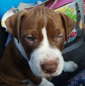 Meet your Posher, Kiersten